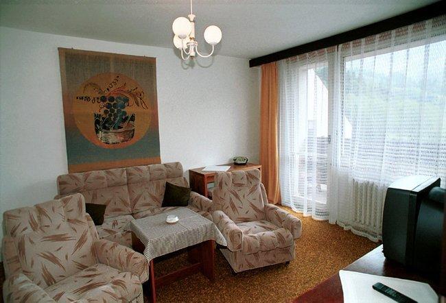 Hotel Petr Bezruc Frýdlant nad Ostravicí Pokój zdjęcie
