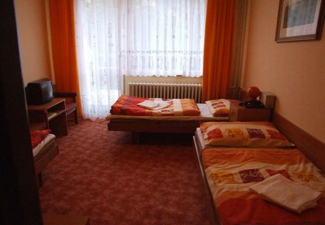 Hotel Petr Bezruc Frýdlant nad Ostravicí Pokój zdjęcie